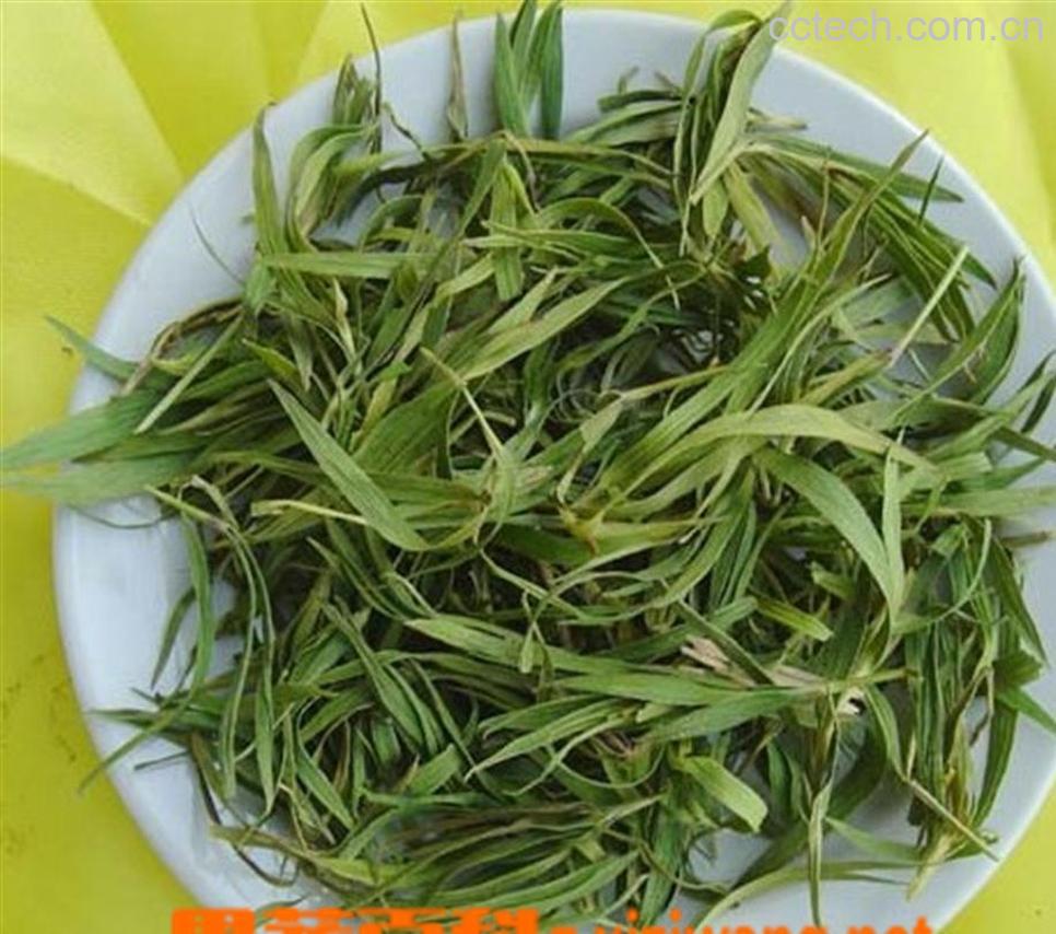 果蔬百科竹叶茶-0