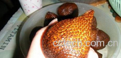 果蔬百科蛇皮果-0