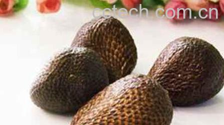 果蔬百科蛇皮果-0