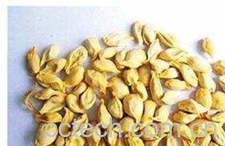 果蔬百科桔子-0