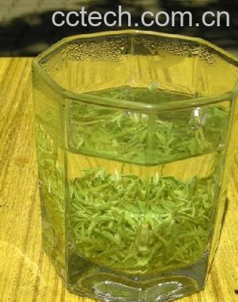 果蔬百科碧螺春的泡法-0