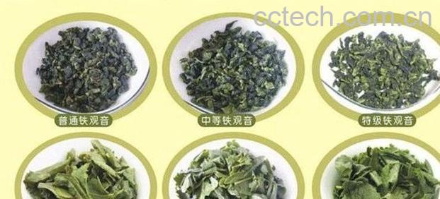 果蔬百科铁观音的泡法-0