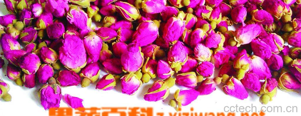 果蔬百科玫瑰花茶能泡几次-0