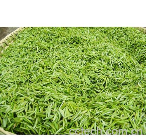 果蔬百科毛峰和毛尖的区别-0