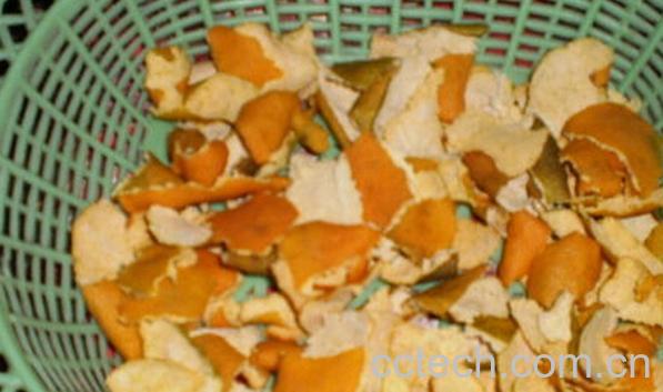 果蔬百科橘子皮枕头-0