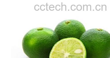 果蔬百科酢橘-0