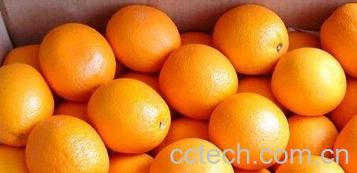 果蔬百科丰脐-0