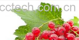 果蔬百科无核小葡萄-0