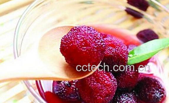 果蔬百科腌杨梅-0