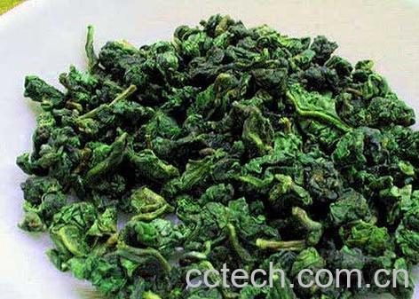 果蔬百科安徽茶叶品种-0