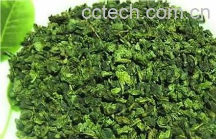 果蔬百科毛尖怎么泡-0