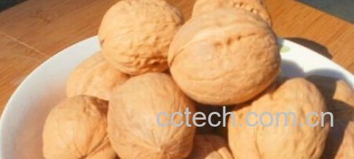 果蔬百科胡桃-0