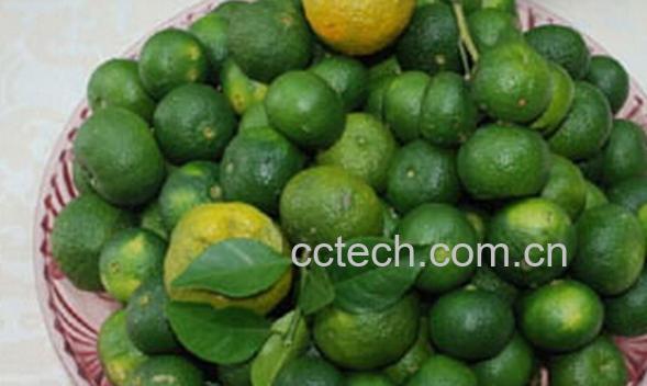 果蔬百科台湾香檬-0