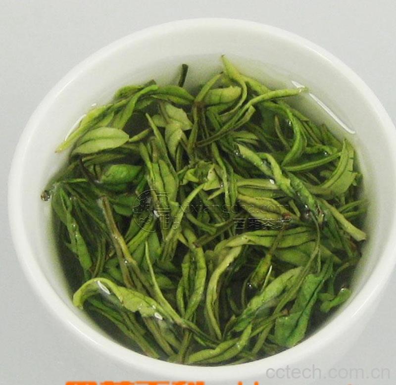 果蔬百科安吉白茶的冲泡方法-0
