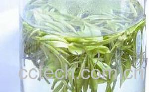 果蔬百科安吉白茶的功效-0