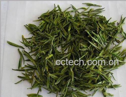 果蔬百科安吉白茶的功效与作用-0