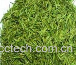 果蔬百科安吉白茶属于什么茶-0