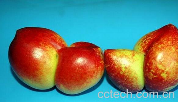 果蔬百科畸形水果-0