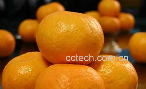 果蔬百科清江崭-0