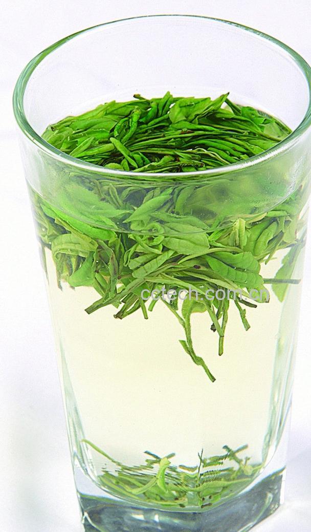 果蔬百科白茶的美容功效与作用-0