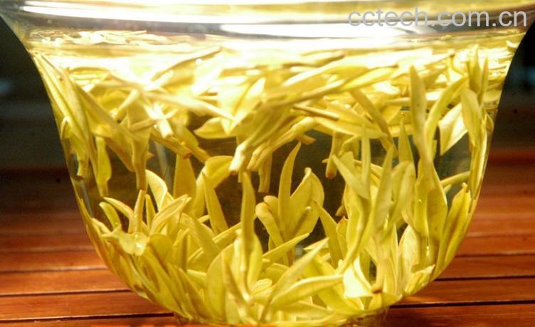 果蔬百科白茶图片,白茶有哪些-0