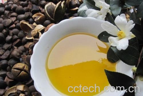 果蔬百科野生茶油-0