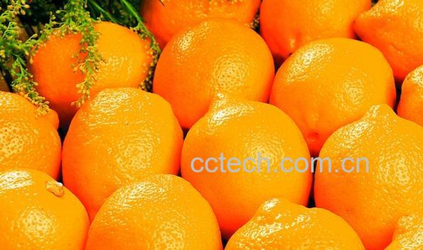 果蔬百科脐橙四号-0