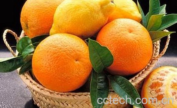 果蔬百科化妆水果-0