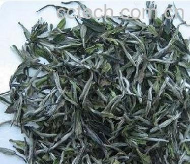 果蔬百科福鼎白茶的功效与作用-0