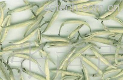 果蔬百科福鼎白茶的功效-0