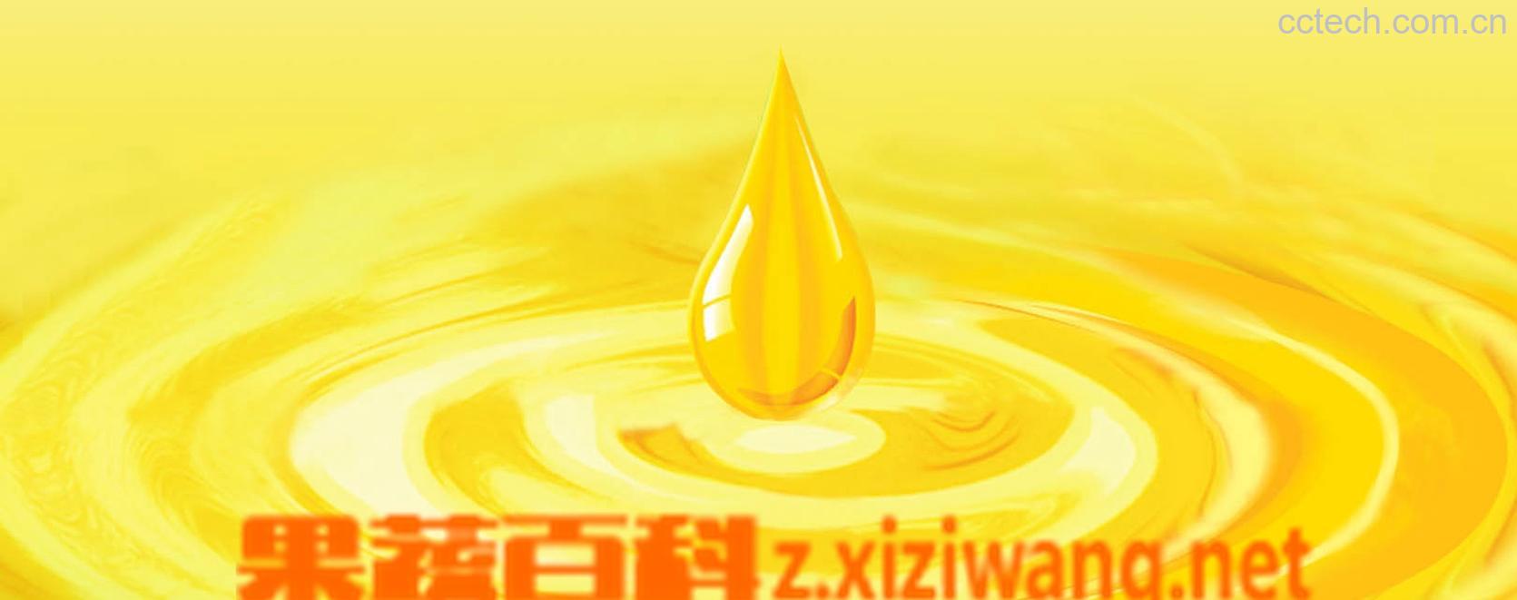 果蔬百科过期茶油的功效与作用-0