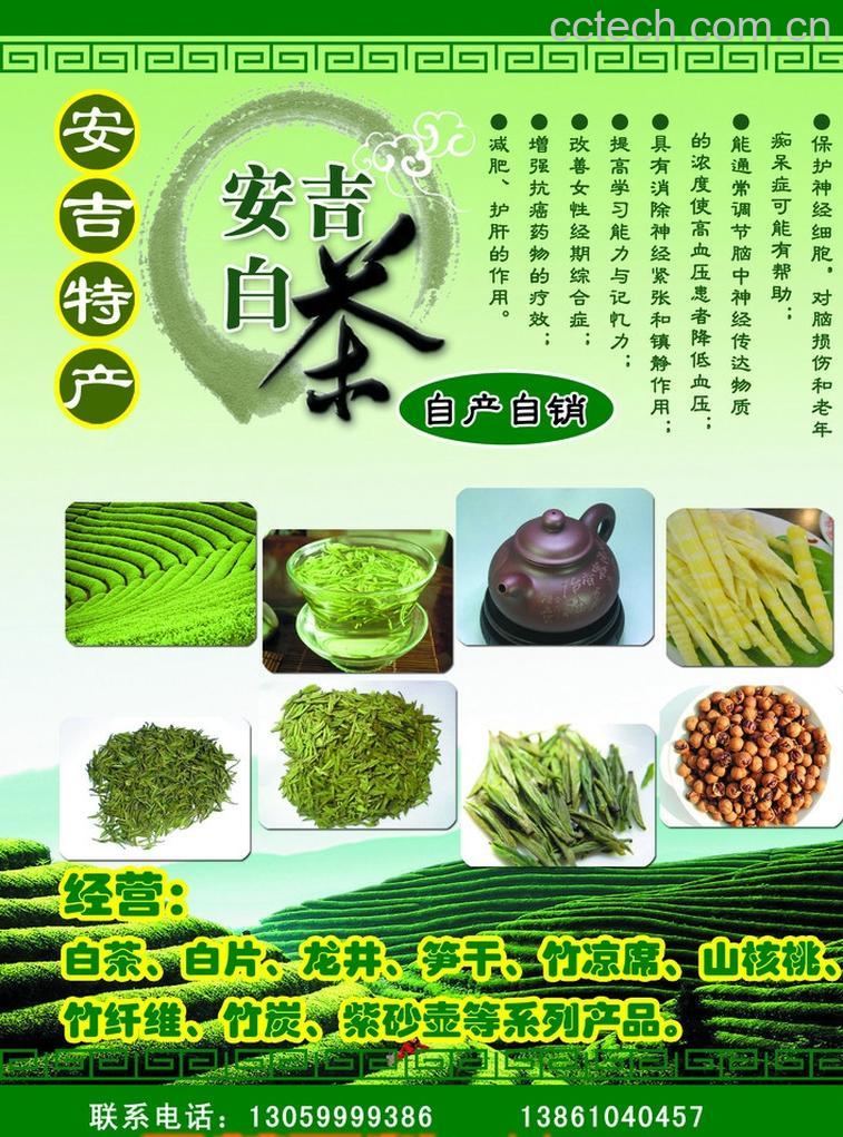 果蔬百科喝安吉白茶有什么好处-0