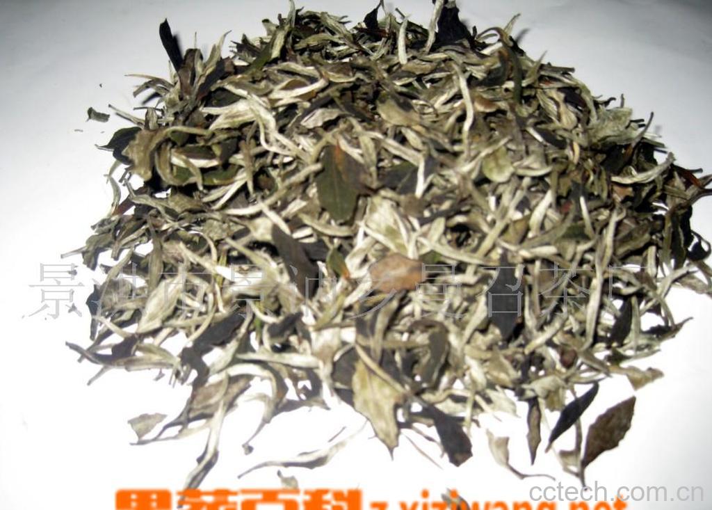 果蔬百科喝白茶能减肥吗-0