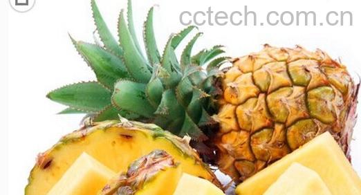 果蔬百科凤梨和菠萝-0