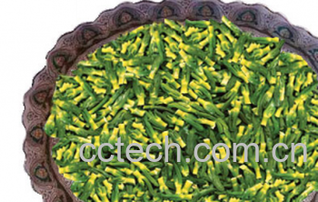 果蔬百科莲子心-0