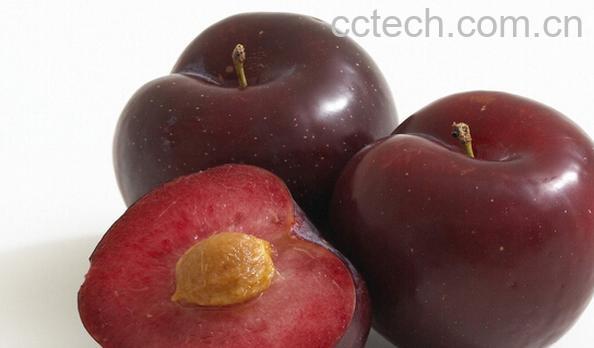 果蔬百科黑布仑-0