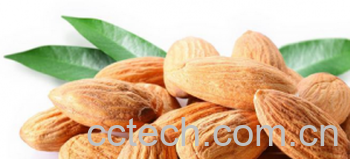 果蔬百科杏仁-0
