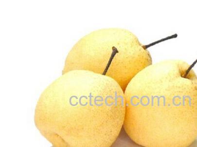 果蔬百科贡梨-0