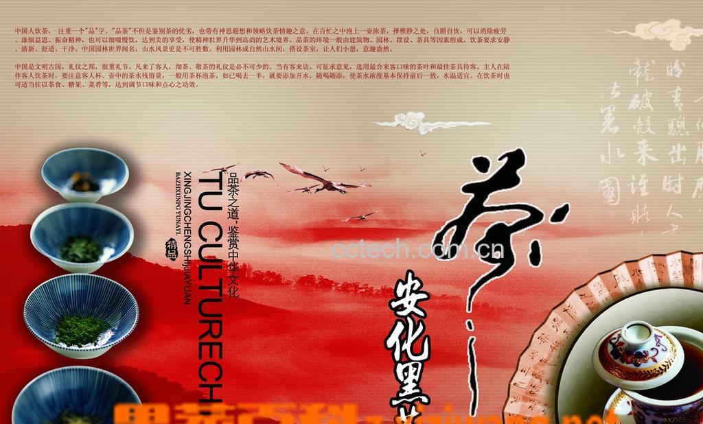 果蔬百科黑茶怎么喝-0