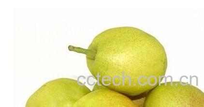 果蔬百科梨的品种-0