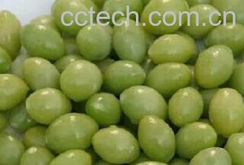 果蔬百科银杏果-0