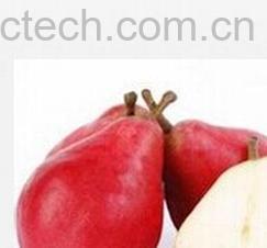 果蔬百科红啤梨-0