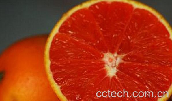 果蔬百科脐血橙-0
