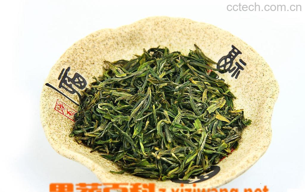 果蔬百科崂山绿茶特点-0