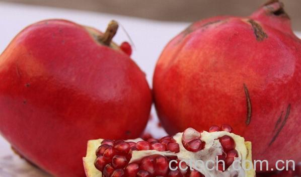 果蔬百科石榴-0