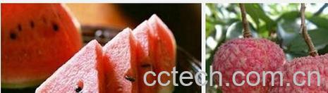 果蔬百科荔枝和西瓜-0