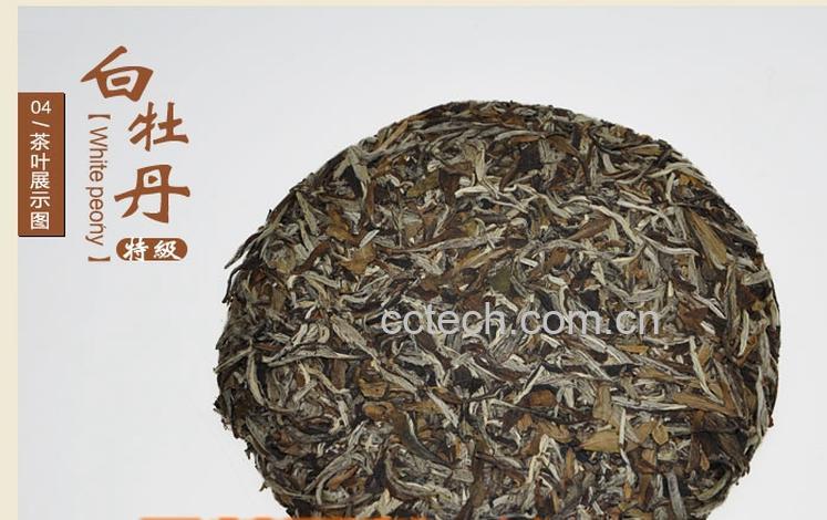 果蔬百科老白茶治病功效-0