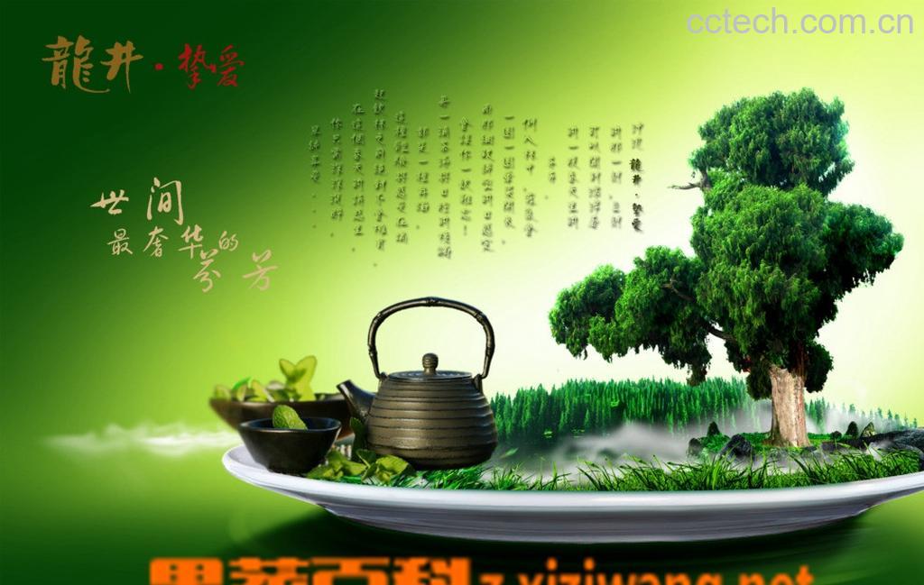 果蔬百科天天喝绿茶的好坏处-0