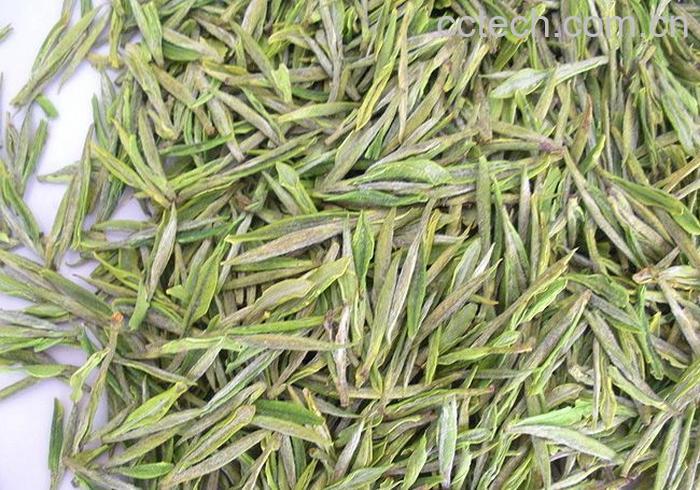 果蔬百科溧阳白茶的功效与作用-0