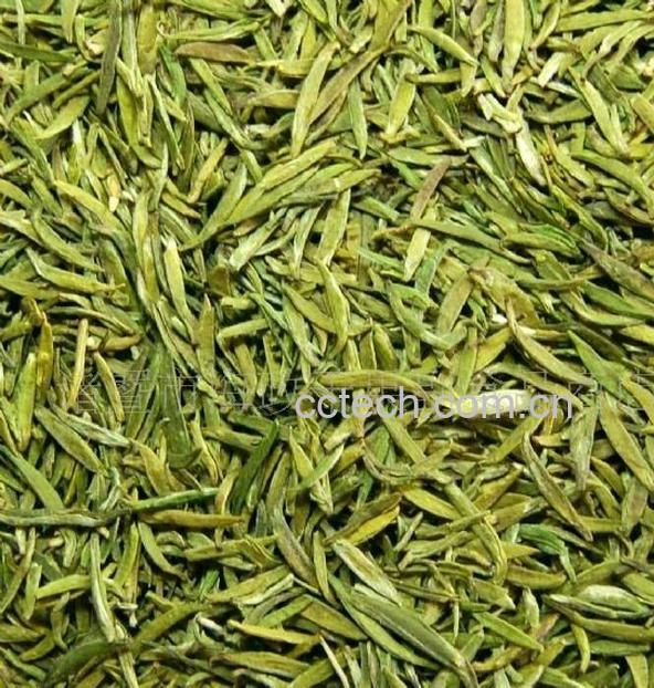 果蔬百科绿茶洗脸有什么好处-0